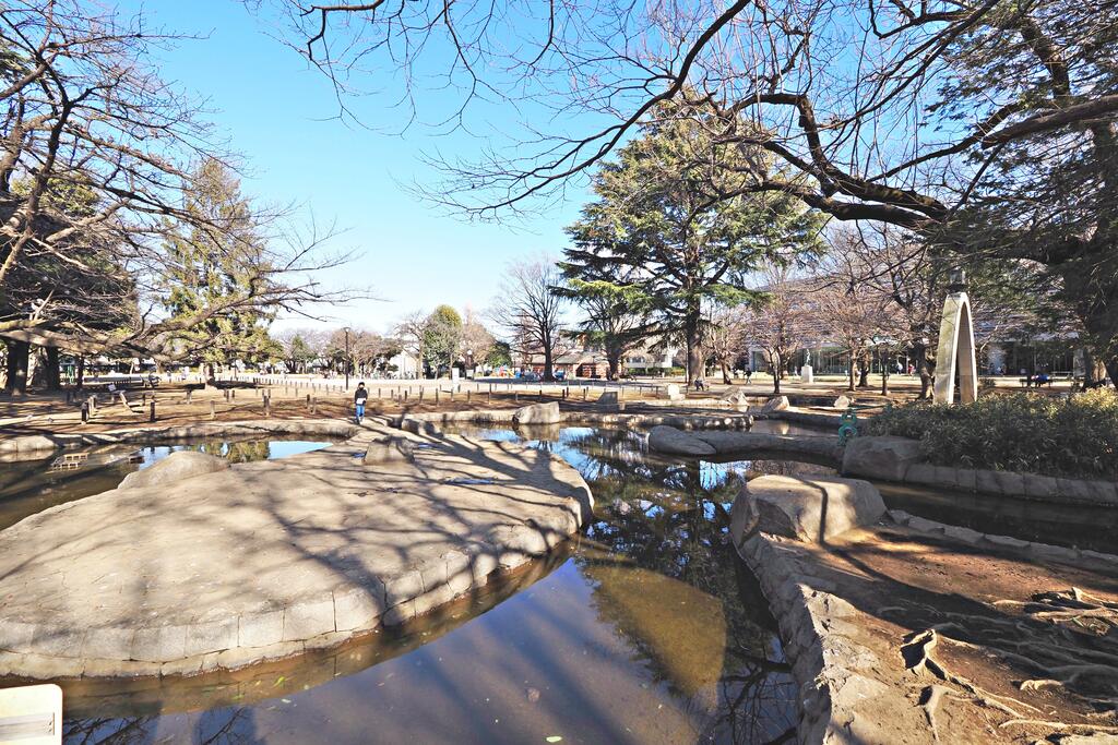 公園　板橋区平和公園（公園）まで803m