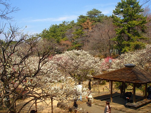 【神戸市兵庫区矢部町のマンションの公園】