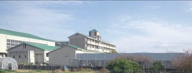 【杉本マンションの中学校】