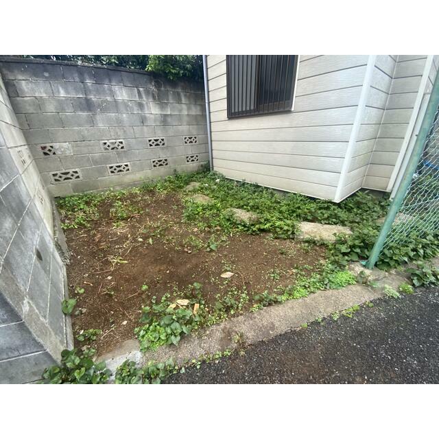 庭