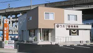 その他　うたづ動物病院（その他）まで187m