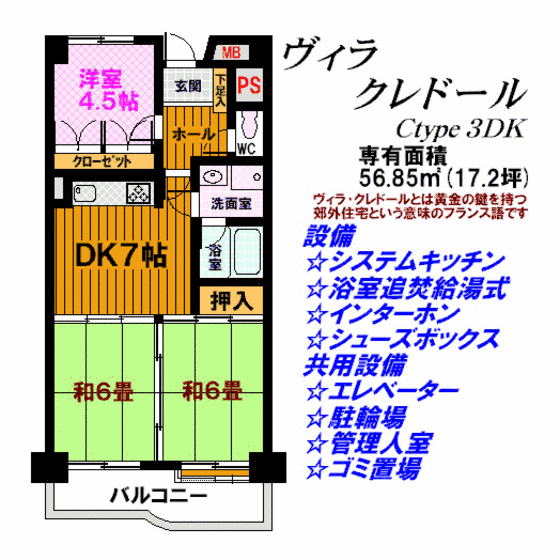 郡山市亀田のマンションの間取り