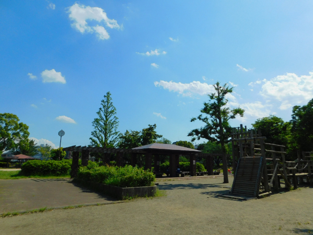 【シャルムヒルズ・セルの公園】