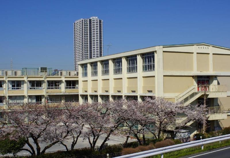 小学校　葛飾区立金町小学校（小学校）まで500m