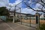 小学校　神戸市立 こうべ小学校（小学校）まで800m