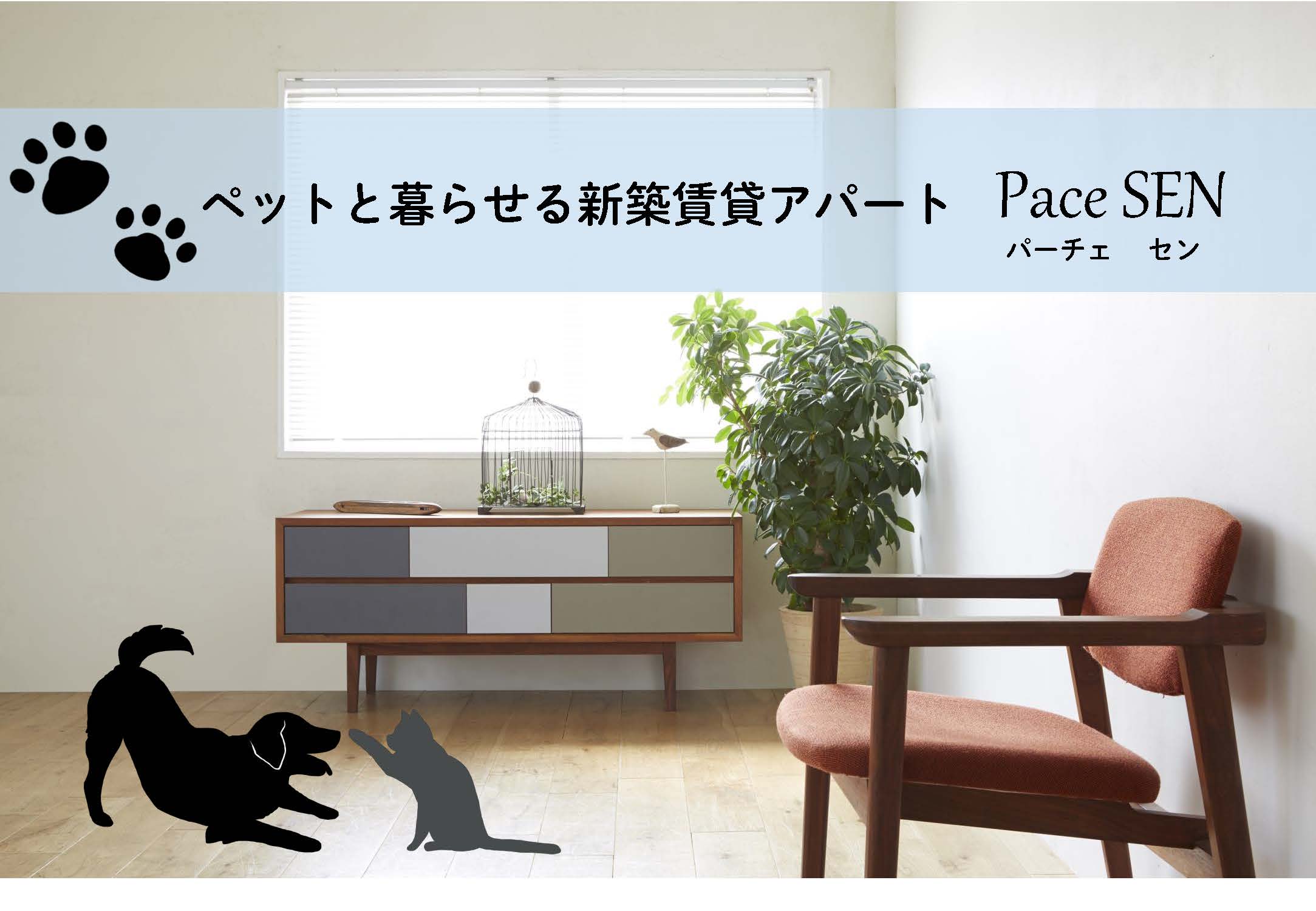 【Pace　SENのその他】