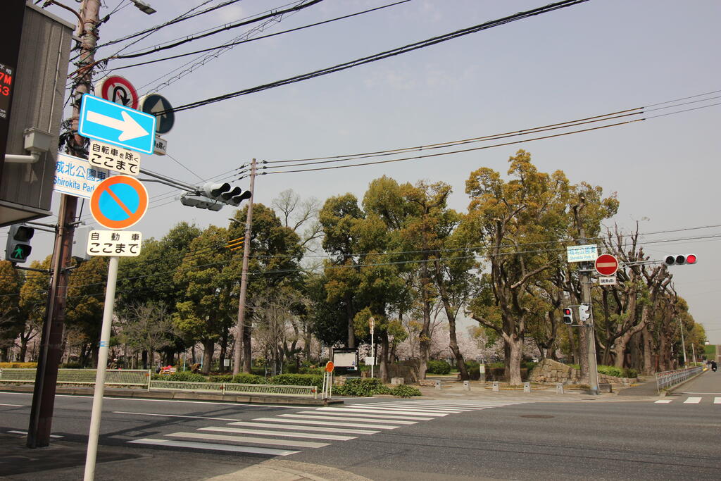 公園　城北緑道（公園）まで473m