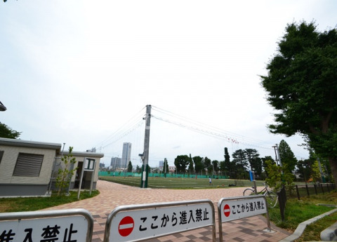 公園　南台いちょう公園（公園）まで1000m