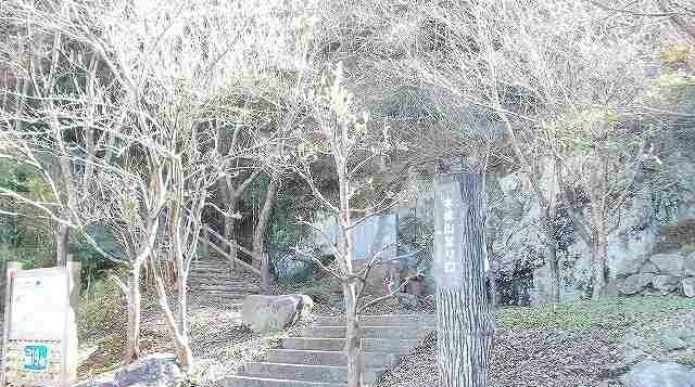 公園　本城山公園（公園）まで80m