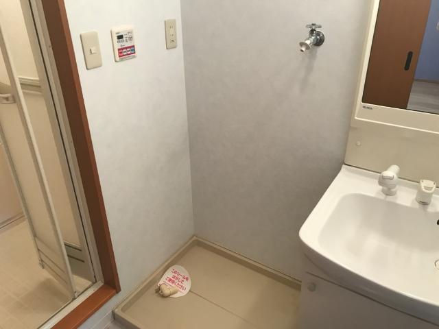 その他　洗濯機置場