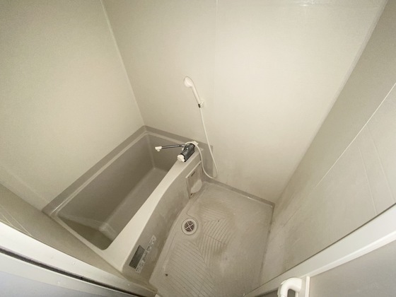 バス・シャワールーム　※別部屋の写真です