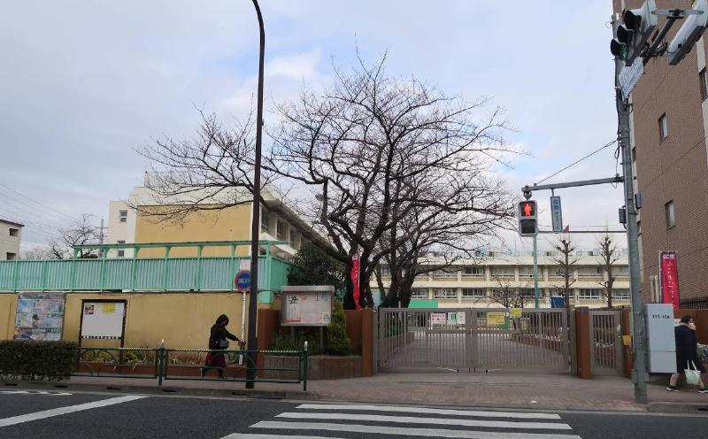 小学校　葛飾区立亀青小学校（小学校）まで500m