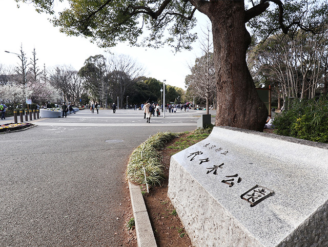 公園　代々木公園（公園）まで250m