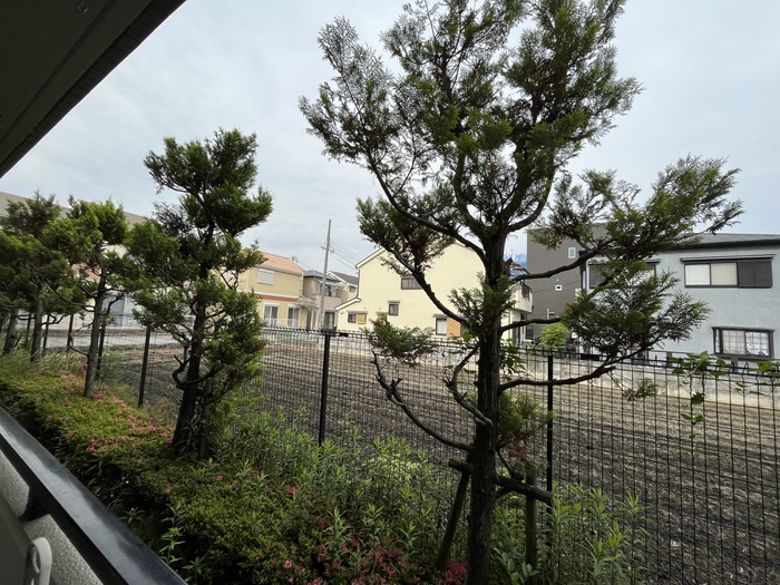 眺望