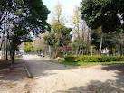 公園　大井戸公園（公園）まで1174m