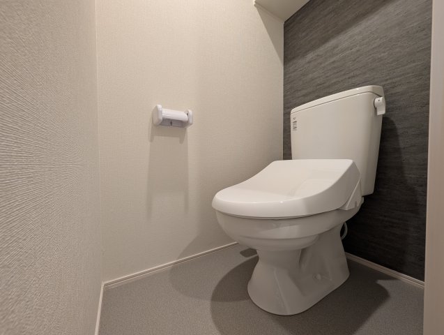 ハーモニーテラス内代町IIのトイレ写真