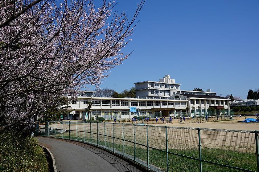 【キャッスルコート龍野町IIの中学校】