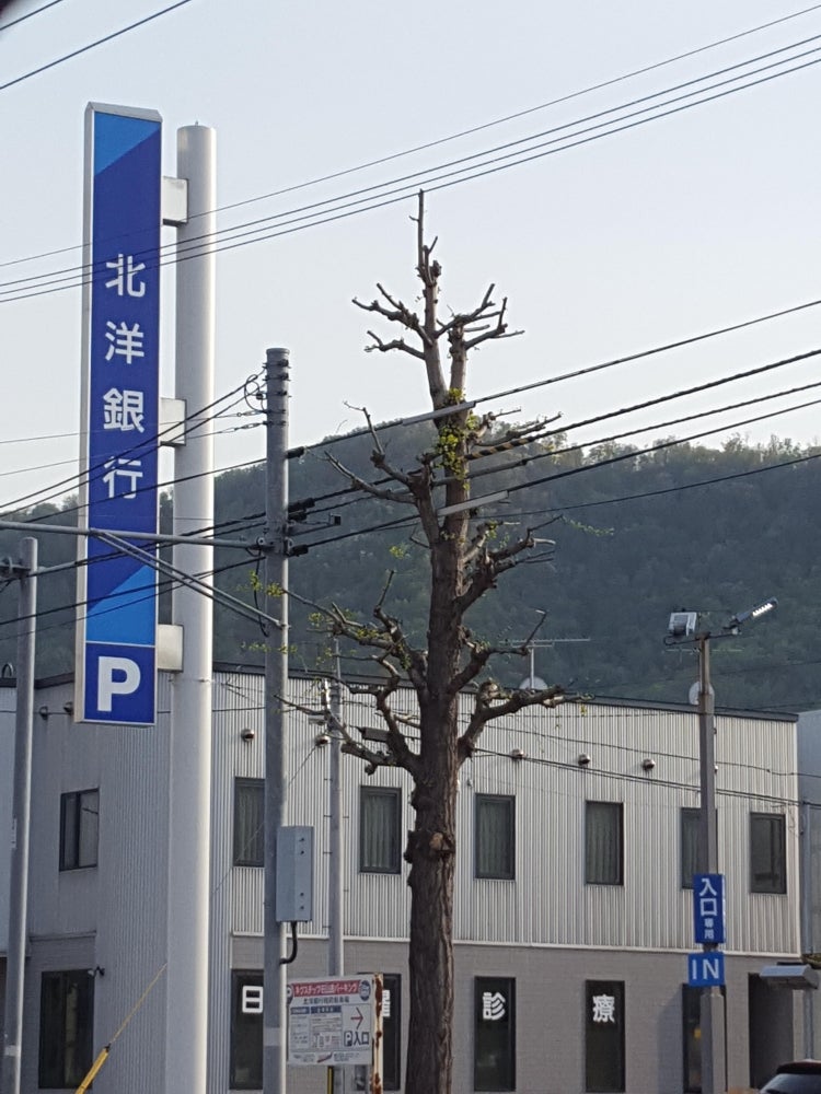 【札幌市中央区南十九条西のマンションの銀行】