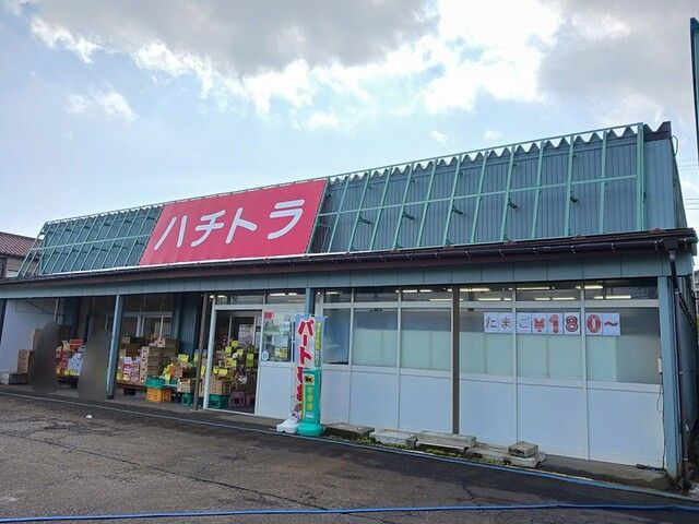 スーパー　キューピット かめだ三條岡店（スーパー）まで1310m