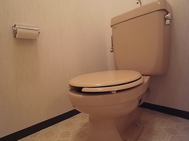 トイレ　トイレ部分。