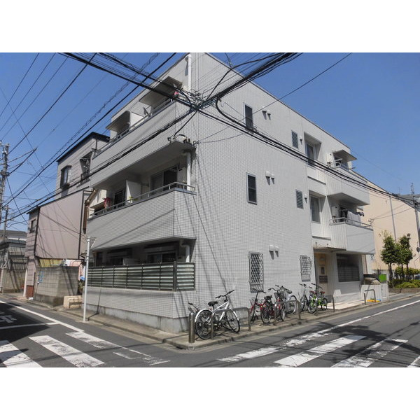 フラットスプリング