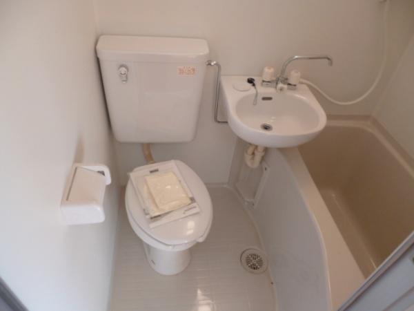 ブラッサムサトウのトイレ写真