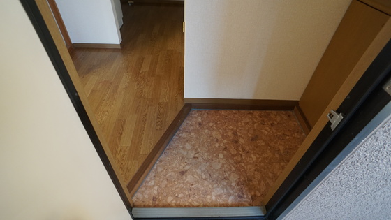 玄関　同仕様タイプ