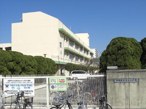　茨木市立天王小学校（その他　787m）
