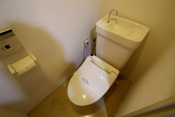 トイレ　※別号室の写真です