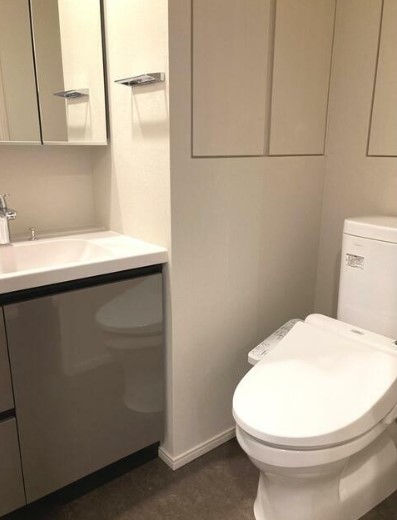 パークアクシス赤坂山王のトイレ写真