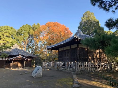 【西落合ニューヨークマンションの公園】