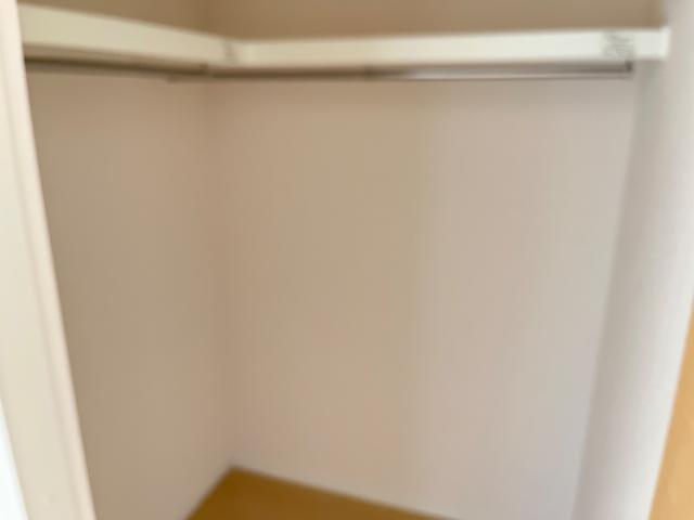 収納　ウォークインクローゼット