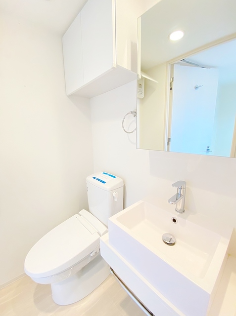 トイレ　トイレ収納・パウダールームタイプ