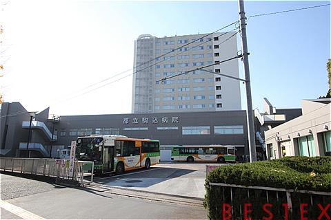 病院　がん・感染症センター都立駒込病院（病院）まで507m