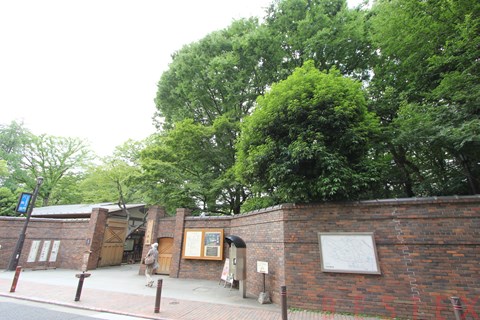 公園　六義園（公園）まで800m