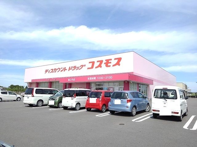 ドラックストア　コスモス島之内店（ドラッグストア）まで1100m