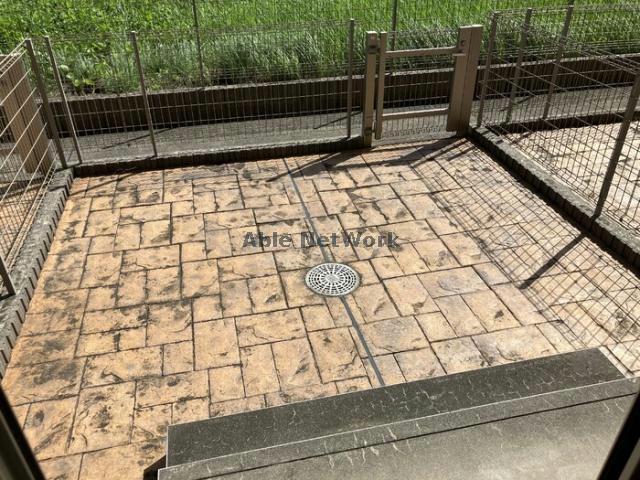 庭