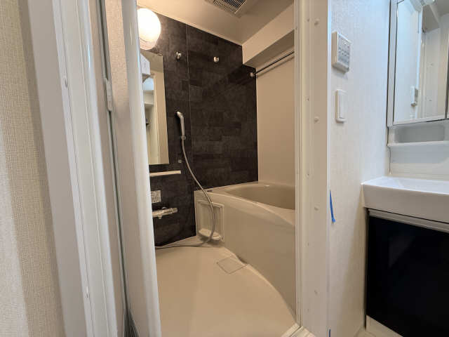 バス・シャワールーム　同一タイプです。