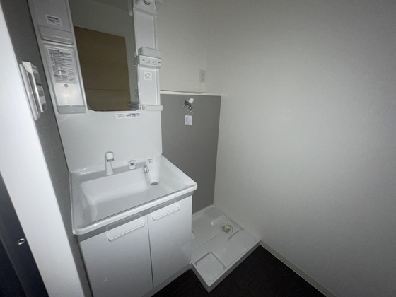 洗面設備　※別号室の写真です