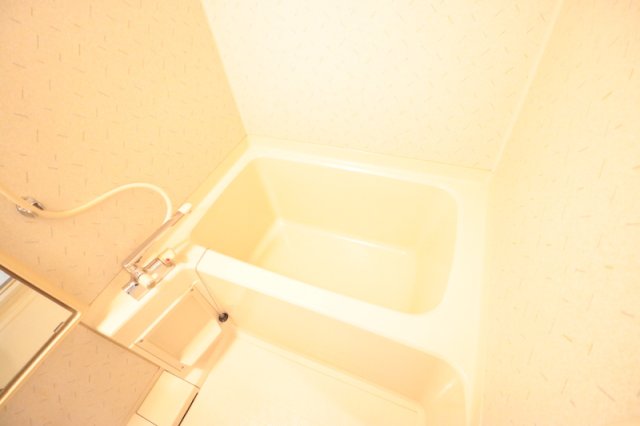 バス・シャワールーム　落ち着いた空間のお風呂です