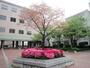 大学・短大　久留米大学医学部看護学科（大学・短大）まで1067m