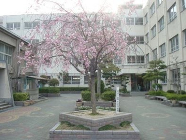 小学校　高槻市立西大冠小学校（小学校）まで502m