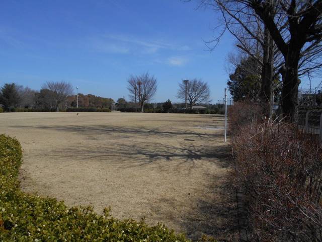 その他　大羽根園公園（その他）まで1042m