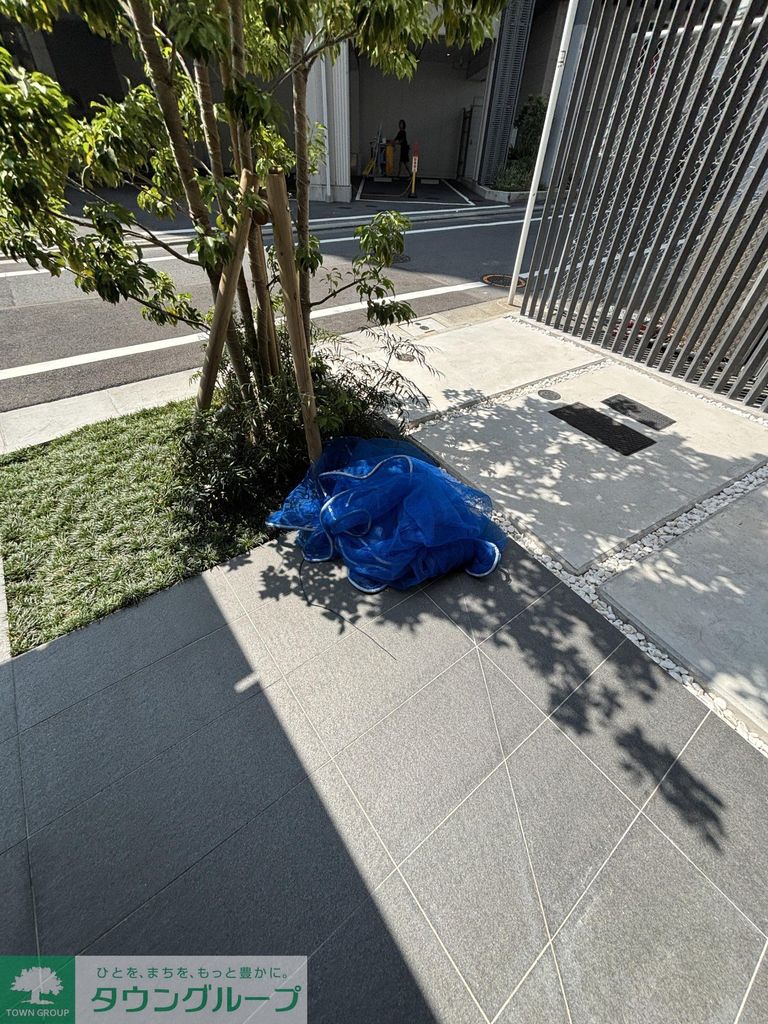 庭