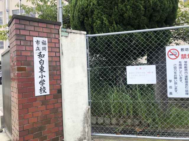 小学校　福岡市立小学校和白東小学校（小学校）まで1060m