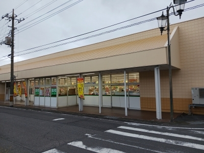 スーパー　業務スーパー元総社店（スーパー）まで260m