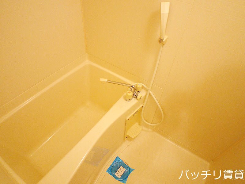 バス・シャワールーム　＊画像は別部屋の為イメージ、現状優先致します