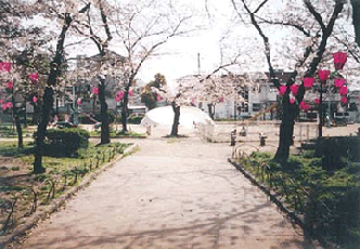 公園　東小橋公園（公園）まで323m