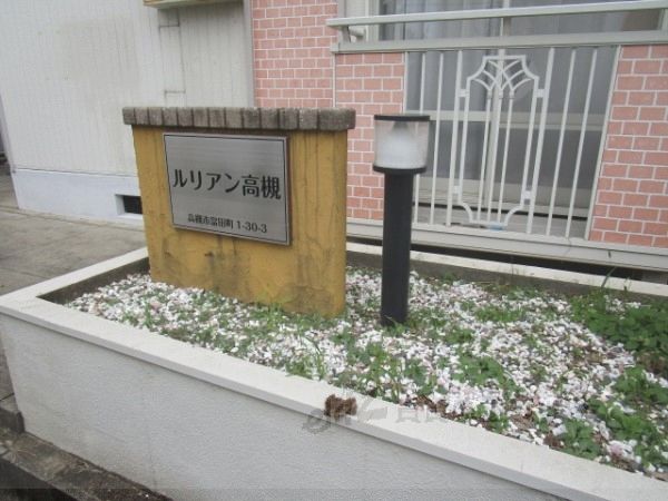 エントランス　植栽
