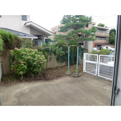 庭